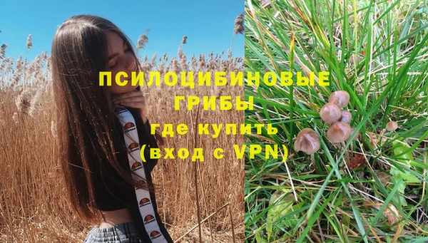 ECSTASY Нягань