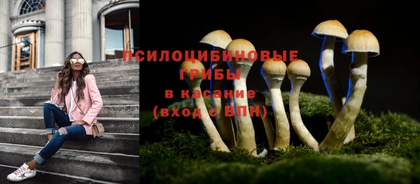 МДМА Няндома